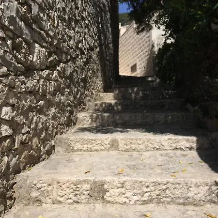 Little White House, Brac